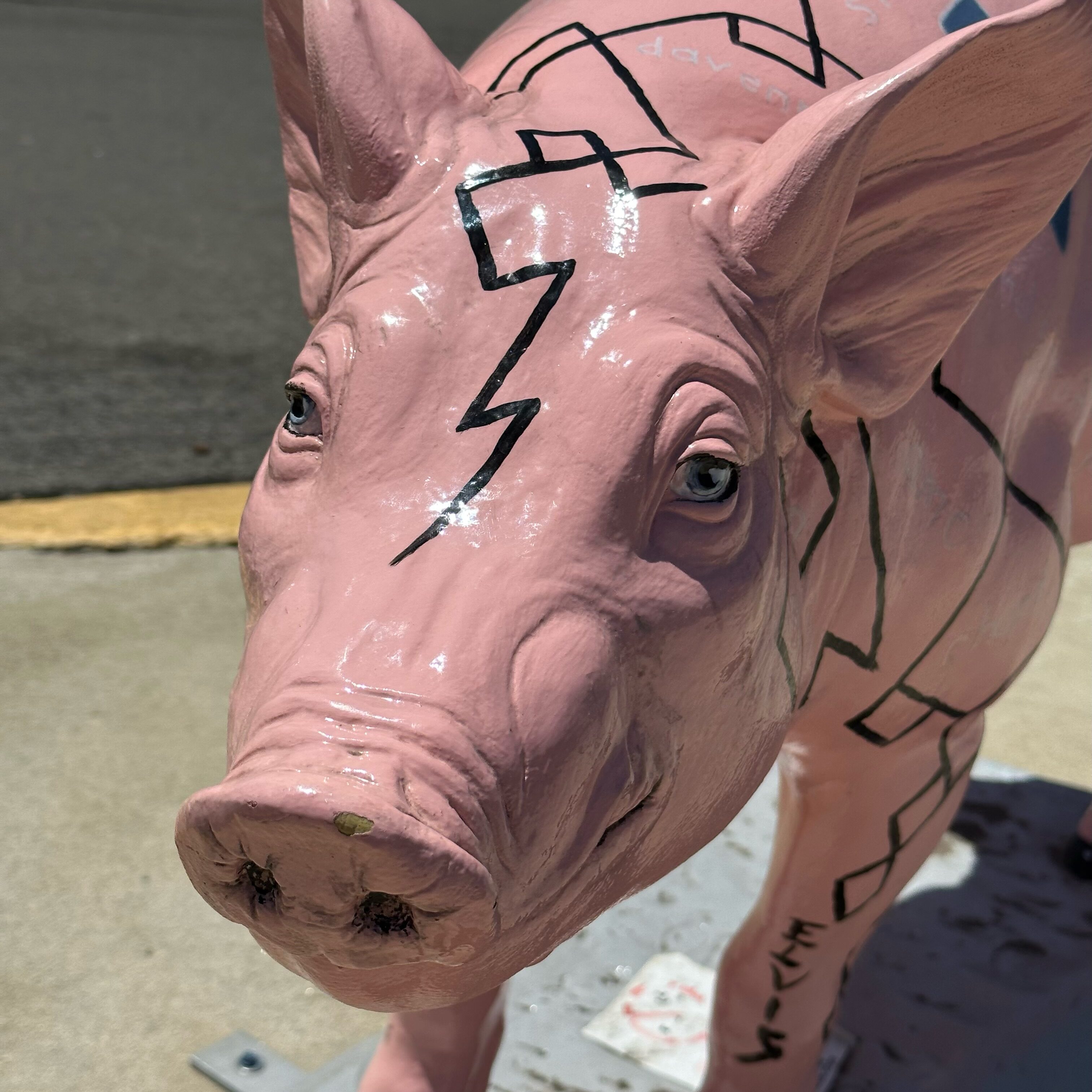 City Center Pig